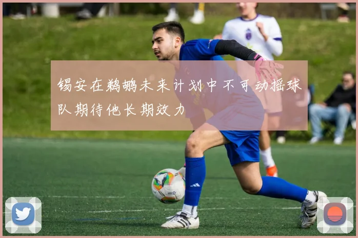 锡安在鹈鹕未来计划中不可动摇球队期待他长期效力