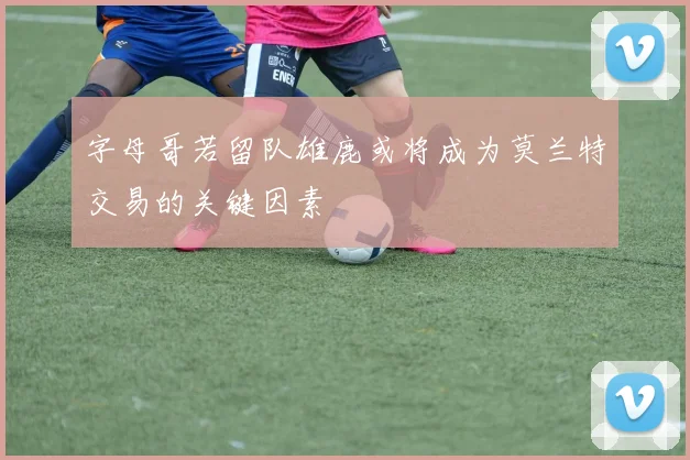 字母哥若留队雄鹿或将成为莫兰特交易的关键因素
