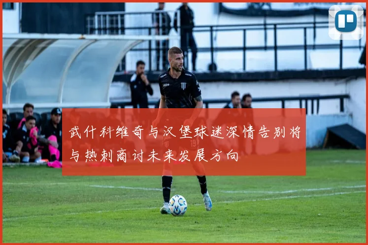 武什科维奇与汉堡球迷深情告别将与热刺商讨未来发展方向